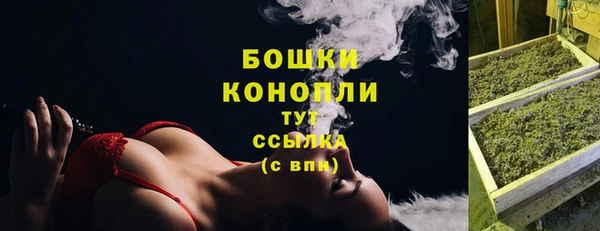 гидра Кинешма