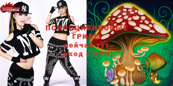 гидра Кинешма