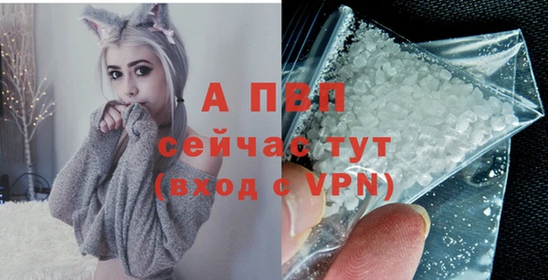 гидра Кинешма