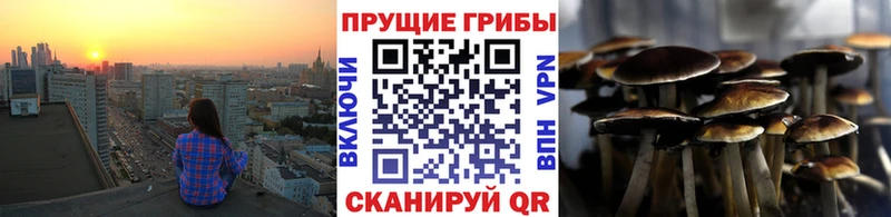 купить  сайты  Балаково  Галлюциногенные грибы Psilocybine cubensis 