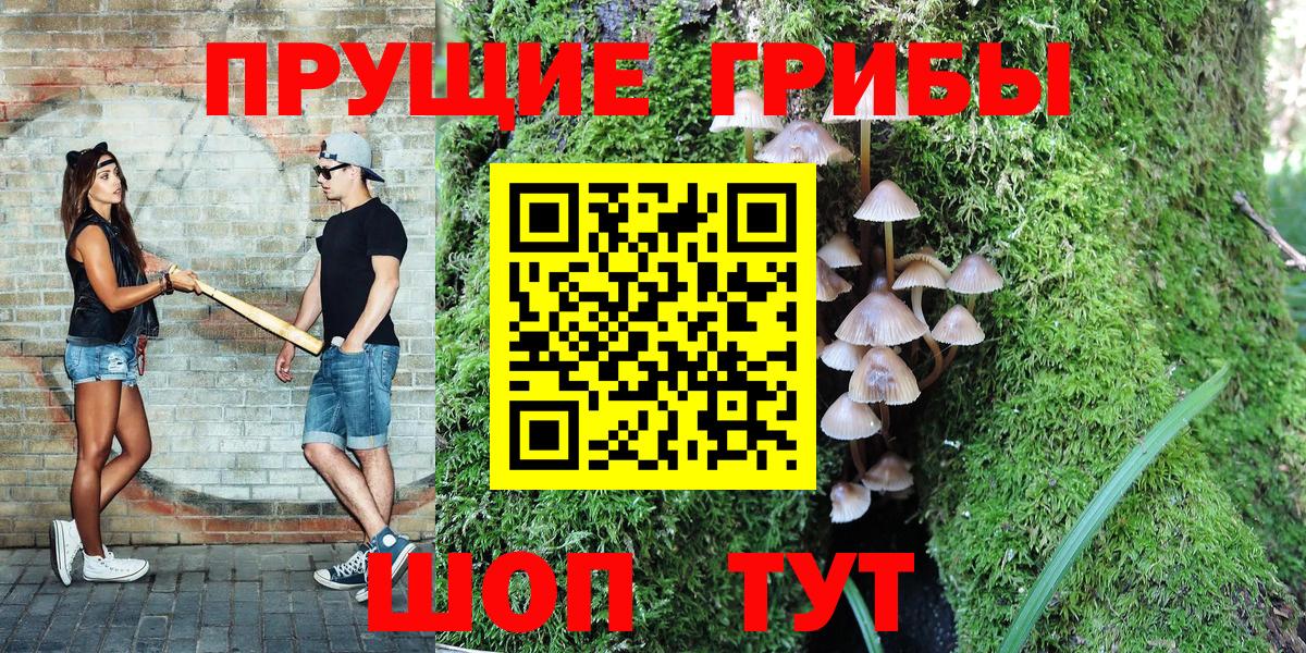 Псилоцибиновые грибы Cubensis Балаково