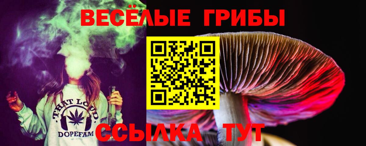 Галлюциногенные грибы прущие грибы Балаково