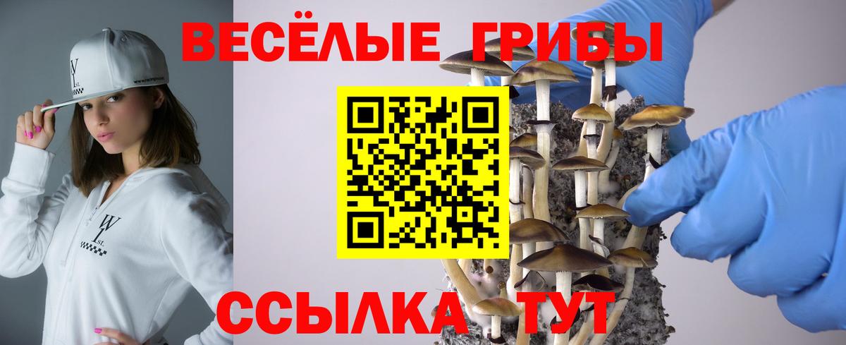 Галлюциногенные грибы мухоморы  дарнет шоп  Балаково 