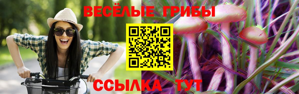 Псилоцибиновые грибы прущие грибы  Галлюциногенные грибы GOLDEN TEACHER  Вход с VPN  Балаково 